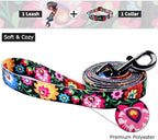 Ihoming Dog Collar and Leash Set for Daily Outdoor Walking Running Training, Black Colorful Flowers Design for Medium Boys Girls Dogs Cats Pets, M-Up to 45LBS