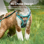 Cat Harness and Leash Set, Step-in Escape Proof Adjustable Vest Harness for Small Medium Large Cats, Lightweight Soft Breathable Reflective Kitten Harness for Walking Travel, Camping(Blue, XS)