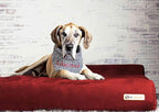Barker Beds Giant Orthopedic Dog Bed for Large Dogs - 7" Thick Washable Big Dog Bed with Headrest - XL Water-Resistant Mattress - Durable Microsuede Cover - Comfy Pet Bed (Burgundy)