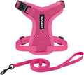 Voyager Step-in Lock Adjustable Cat Harness w. Cat Leash Combo Set with Neoprene Handle 5ft - Supports Small, Medium and Large Breed Cats by Best Pet Supplies - Fuchsia, S