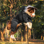 OneTigris Dog Raincoat with Hood for Medium Large Dogs, Waterproof & Reflective, 4 Legs Dog Rain Jacket Adjustable Puppy Poncho for The Rain and Snow (Black, Large)