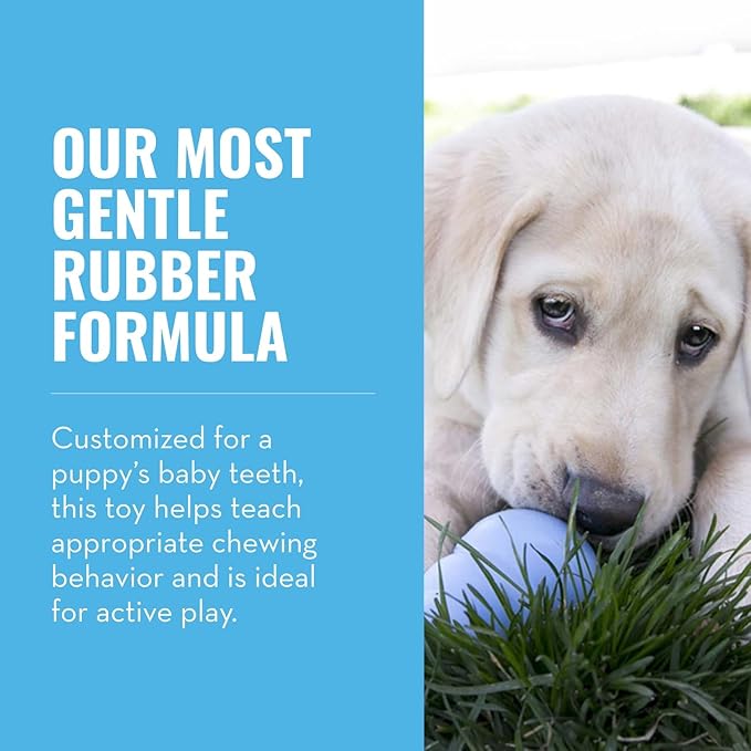 KONG Puppy - Natural Teething Rubber Chew Toy for Dogs - Stuffable Dog Toy for Extended Playtime - Chew & Fetch Toy for Puppies - For Large Puppies - Blue
