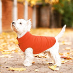 ASENKU Dog Winter Coat - Waterproof Windproof Dog Jacket, Warm Snowproof Doggie Puffer Vest for Cold Weather, Lightweight Snow Coats for Small Medium Large Dogs (Orange, 2XL)
