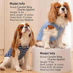 KYEESE 2Pack Dog Shirts Striped T Shirt for Large Dogs Lightweight Clothes Sleeveless Vest Cotton Tank Top, XXX-Large,Dark Blue+Striped
