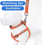 Pawtitas 6 FT Dog Leash - Reflective Orange Puppy Leash with Comfortable Handle and Heavy Duty Training