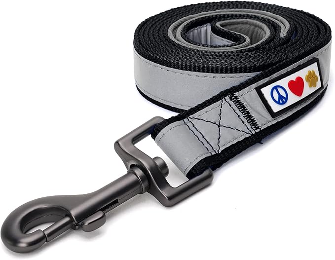 Pawtitas 6 FT Padded Dog Leash with Comfortable Neoprene Padding Handle - Black Lead | Medium Reflective Dog Leash with Highly Reflective Band Perfect for Medium and Large Dogs and Puppies