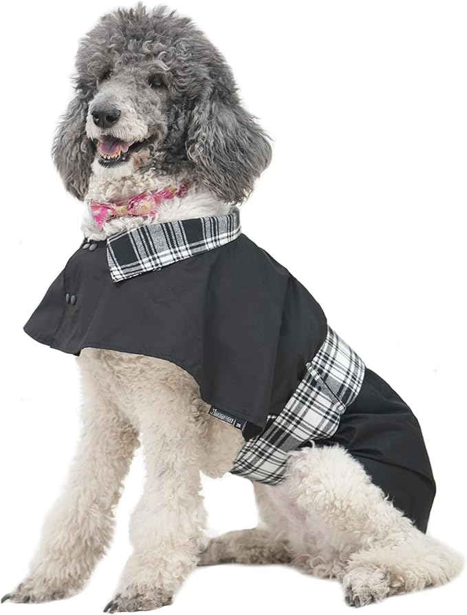 MAMORE Dog Jacket Waterproof Outdoor Vest for Smal Medium Large Dogs, Windproof Adjustable Breathable Lightweight Fashion Casual Dog Clothes (Black&White, Small)