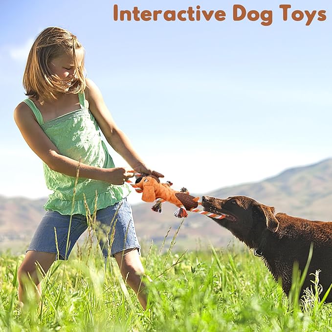 Squeaky Dog Toys, Tug of War Dog Toy for Large Dogs, Plush Puppy Toys with Pull Rope, Interactive Dog Toys for Small, Middle, and Big Dogs