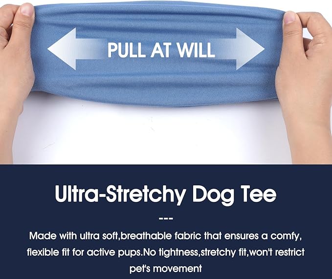 IECOii 2 Pack Dog T-Shirt for Small Dogs | Breathable Stretch Fit for Summer, UV Sun Protection for Chihuahua & Cats, Grey+Blue,M