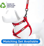 Pawtitas 6 FT Recycled Dog Leash with Reflective Stitched Thread Stitched on Side| Medium Reflective Dog Leash Made from Plastic Bottles Collected from Oceans – Red 6 ft Dog Leash