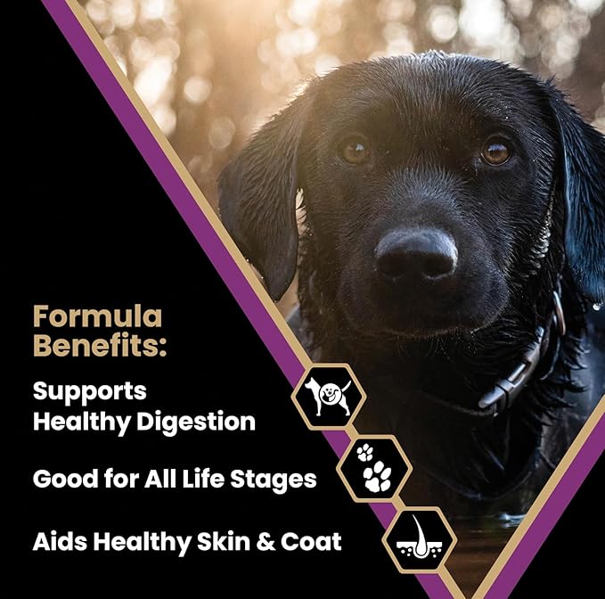 VICTOR Super Premium Dog Food – Professional Dry Dog Food – Super Premium Kibble with 26% Protein – Gluten-Free with Beef, Chicken & Pork Meals – for High Energy and Active Dogs & Puppies, 15lbs