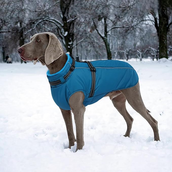Lelepet Dog Coat for Large Dogs Waterproof Dog Jacket with Harness Built in Reflective Windproof Fleece Jacket with Zip Warm Winter Coats for Dogs Cozy Thermal Pet Snowsuit, Border Collie, Blue, XL