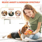 Dog Enrichment Toys - Dog Puzzles Squeaky Treat Dispensing Crinkle Plush Snuffle Toys - Treat Toy for Small Medium Large Breed Puppy, Snail