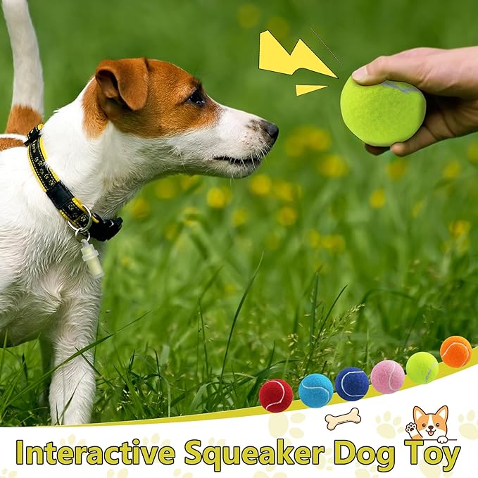 Swingers Squeaky Tennis Balls for Dog,2.5 inch Training Tennis Balls,Exercise Ball for Pet Dog with Mesh Carry Bag Easy to Transport (Multicolor, 24 Pack)