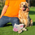 AIMETING Dog Toys, Durable Dog Chew Toys, Dog Squeak Toy with Fun Crinkle Paper, Plush Toys Suitable for Small, Medium, Large Dogs (Sheep)