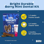 Barkbox Bright Durable Dental Kit, Berry Mint Flavored, 15 Chew Sticks & Toothpaste - Large Breeds