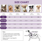 Queenmore Warm Fleece Dog Jacket - Cold Weather Waterproof Snow Jacket with Leash Hole, Reflective Turtleneck - Purple, Medium
