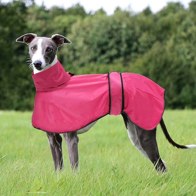Dog Raincoat with Reflective Bar, Rain/Water Resistant, Adjustable Vest - Dog Raincoats for Greyhounds, Lurchers and Whippets - Pink - XXL