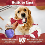 10-Pack Tough Dog Toys, Toys for Aggressive Chewers Large Breed, Chew Dogs, Bone Toy Nylon Dogs Almost Indestructible