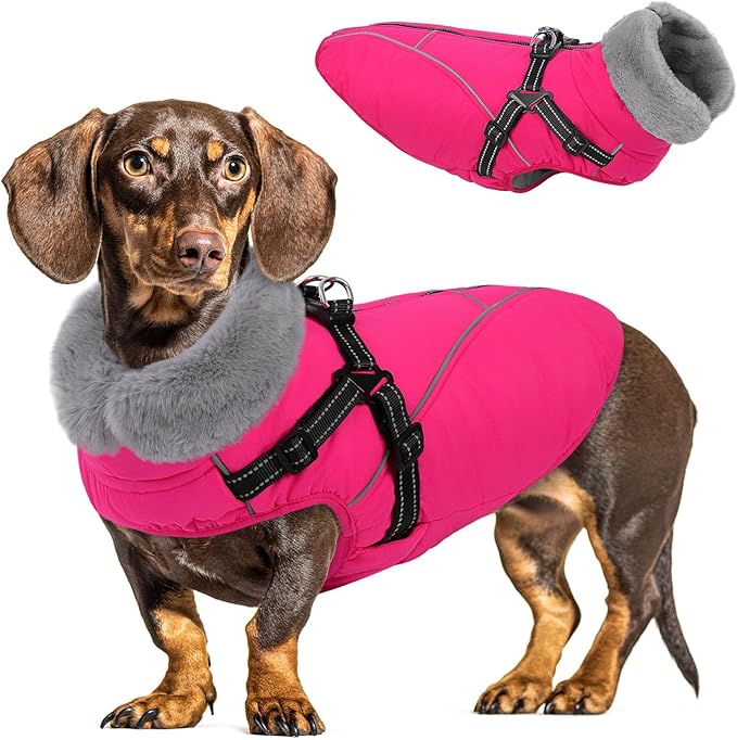 Queenmore Small Dog Coat,Dog Coat for Small Dogs,Reflective Windproof Dogs Jackets with Built-in Harness,Doggy Winter Jacket with Zipper On Back,Warm Pet Coats with Fleece Lining,Rosered,S