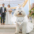 SCENEREAL Dog Bandanas Dress Set for Small Dogs, Dogs Wedding Outfit with Flower Collar Veil, Puppy Party Supplies Pet Tutu Skirt Costume