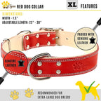 ADITYNA Heavy-Duty Leather Dog Collar for Extra-Large Dogs - Soft Padded for Comfort - XL Dog Collar for Walking, Training, and Hiking