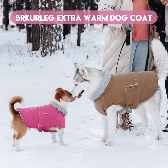 BRKURLEG Dog Winter Jacket, Warm Dog Winter Coats for Small and Medium Large Dogs, Reflective Adjustable Pet Cold Weather Coats, Waterproof Dogs Snow Jacket Clothes Fleece Vest (M, Rose Red)