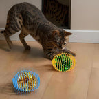 Jecery 5 Pcs Halloween Cat Spring Balls Toys Stretchable Rolling Balls Colorful Playful Coils Interactive Spring Action Toy Caged Rats for Kitten Cat Pet Supplies(Crinkle Ball,Multicolor,5 Pcs)