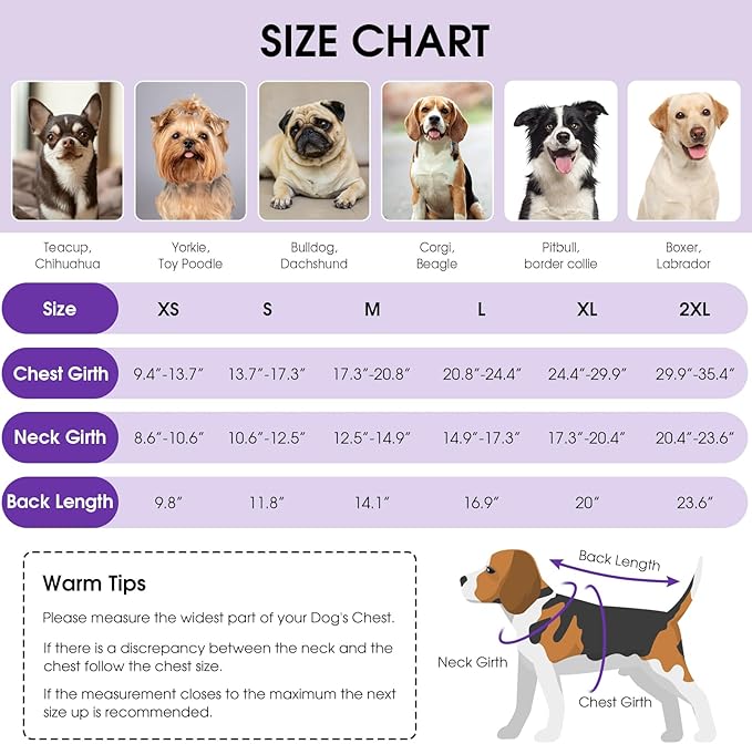Queenmore Dog Winter Coat, Cold Weather Fleece Jacket for Dogs, Waterproof Reflective Reversible, for Small, Medium and Large Dogs (Purple, L)