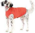 Goldpaw Stretchy Fleece Jacket for Small Dogs - Super Soft, Warm Dog Sweater - Pet Sweater Vest for Fall and Winter - Canine Clothes Made in The USA - Machine Washable - Paprika - Size 14