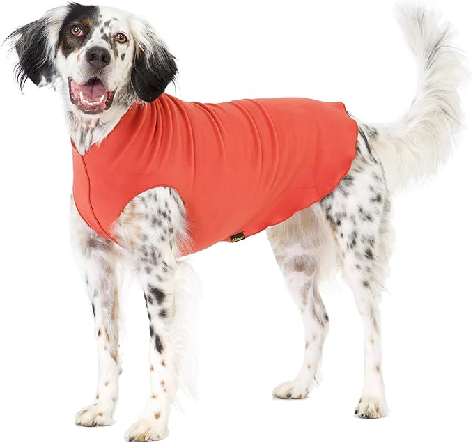 Goldpaw Stretchy Fleece Jacket for Small Dogs - Super Soft, Warm Dog Sweater - Pet Sweater Vest for Fall and Winter - Canine Clothes Made in The USA - Machine Washable - Paprika - Size 14