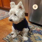 KYEESE Dog Sweater with Leash Hole for Small Dogs Male Warm Pullover with Reflective Thread Soft Knitwear Boy Dog Clothes Cozy Lightweight Thick Sweater Pet Indoor Outdoor Wear,Navy Blue,X-Small