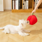 Hollypet Squeaky Dog Toy, Interactive Plush Hide and Seek Dog Toys for Small Medium Sized Dogs and Non-Aggressive Chewers, Puppy Teeth Clean Chew Toys, Hedgehog