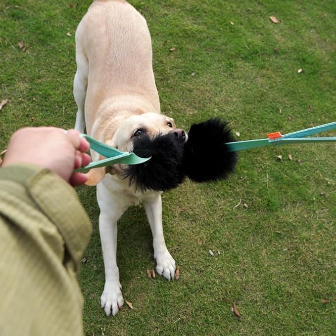 HOWGO Dog Bite Tug Toy with 2 Strong Handles - Made of Natural Sheepskin - Perfect for Tug of War, Fetch & Puppy Training - Ideal for Medium to Large Breeds(Black)