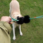 HOWGO Dog Bungee Chaser Toy Double Handles Natural Sheepskin Fur for All Breeds(Black,2Pack)