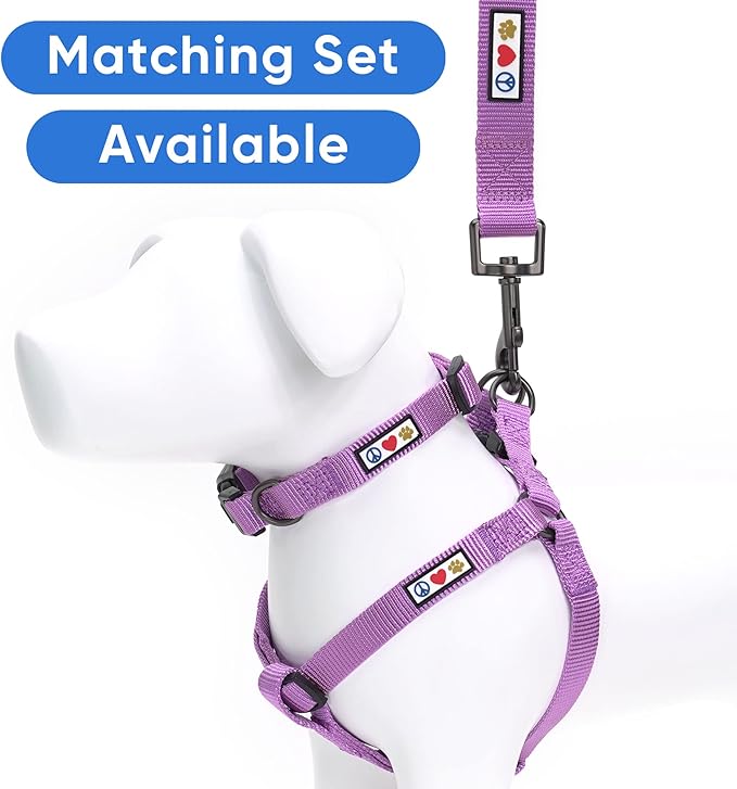 Pawtitas 6 FT Solid Color Orchid Dog Leash - Comfortable Handle, Extra Small/Small, 6 ft