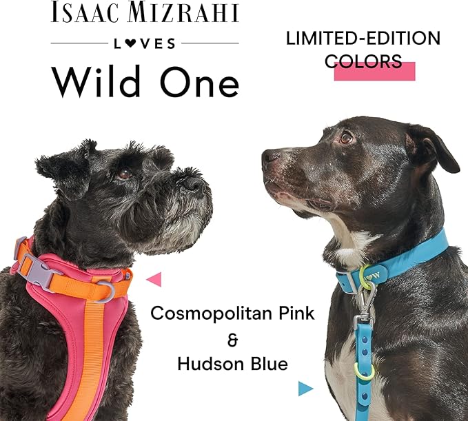 Wild One Dog Collar, Easy-Clean, All Weather Flex-Poly Strap with Metal, Durable, Dirt and Odor Resistant (Cosmopolitan, XL)