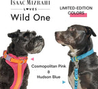 Wild One Dog Collar, Easy-Clean, All Weather Flex-Poly Strap with Metal, Durable, Dirt and Odor Resistant (Cosmopolitan, XL)