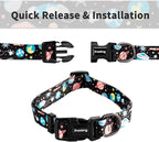 Ihoming Dog Collar and Leash Set for Daily Outdoor Walking Running Training, Space Design for Small Boys Girls Dogs Cats Pets, S-Up to 20LBS