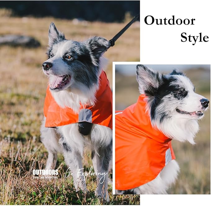 Dog Water-Repellent Raincoat Jacket, Lightweight Reflective Waterproof Clothes for Small Medium Large Dogs, Outdoor for Fall & Spring (Orange, XL)