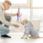 Dog Sweaters for Small Dogs Hoodie Fleece Dog Sweater Soft Clothes Sweatshirt with Pocket Hoodie for Small Dogs Puppy(Grey&S)