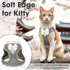 Cat Vest Harness and Leash Set for Walking Escape Proof, Adjustable Kitten Harness Breathable Mesh with Reflective Strips Harness for Kitty Puppy Bunny (Grey,XS)