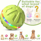 Dog Toys Dog Ball, Durable Motion Active Rolling Balls with Remote Control LED Light, Rubber Peppy Pet Balls for Medium Large Dogs, USB Rechargeable, 3.2-in Diameter (Green)