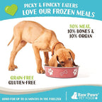 Raw Paws Signature Blend Pet Food for Dogs & Cats - Lamb Recipe, 1-lb Rolls (20 Pack) - Fresh Raw Food Made in USA - Natural Dog Food Roll - Frozen Raw Lamb Dog Food Log Diet