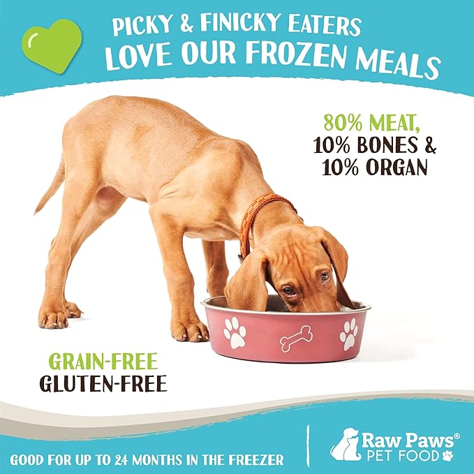 Raw Paws Signature Blend Pet Food for Dogs & Cats - Pork Recipe, 1-lb Rolls (20 Pack) - Fresh Raw Food Made in USA - Natural Dog Food Roll - Frozen Raw Pork Dog Food Log Diet