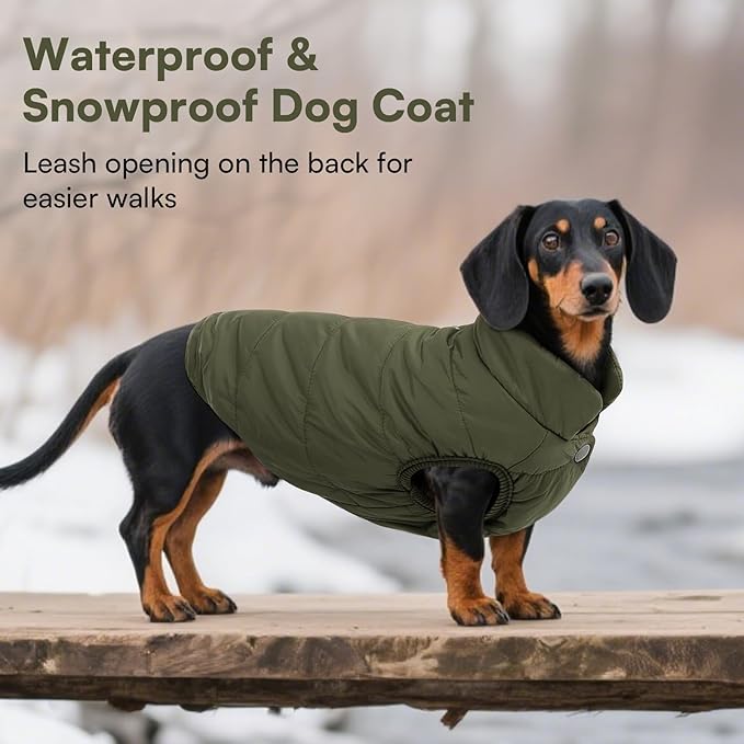 ASENKU Windproof Dog Winter Coat Waterproof Fleece Jacket Cold Weather Pet Apparel for Small Medium Large Dogs (ArmyGreen, S)