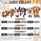 EXPAWLORER Textured Cable Knit Basic Dog Hoodie, Elevated Style Dog Sweater with Leash Hole and Pocket, Soft and Warm Pet Winter Coat, Cold Weather Clothes for Small Medium Large Dogs,Grey M