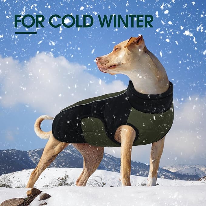 Kuoser Dog Winter Jacket, Winter Dog Coats for Medium Dogs, Reflective Doggie Cold Weather Coats Pet Clothes, Puppy Snow Jacket for Frech Bulldog, Boston Terrier, Green M