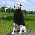 ROZKITCH Dog Shirt with Hoodie Dog Ears Cover 2 in 1, Soft Lightweight Dog Striped T Shirt Pullover Dog Tank with Detachable Ear Wrap, Dog Hoodie Tshirt Dog Boy Girl, Stretchy Sweater Black L