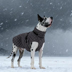 Kuoser Dog Coat Warm Fleece Lining Turtleneck Dog Jacket with Harness Built-in, Adjustable Windproof Cold Weather Coats with Quick Release Buckle Pet Winter Snowsuit for Small Dogs, Grey S